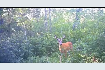 Tbd Aztec Road, Motley, MN 56466 - Photo 27