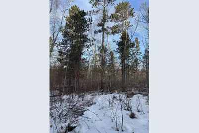 Tbd Aztec Road, Motley, MN 56466 - Photo 15