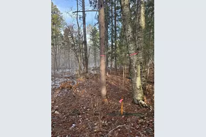 Tbd Aztec Road, Motley, MN 56466 - Photo 17