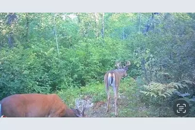 Tbd Aztec Road, Motley, MN 56466 - Photo 29