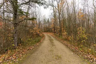 33489 Strawberry Dr, Ogema, MN 56569 - Photo 37