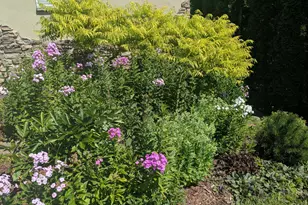 8116 Clifford Cir, Inver Grove Heights, MN 55076 - Photo 45