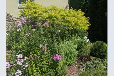 8116 Clifford Circle, Inver Grove Heights, MN 55076 - Photo 45