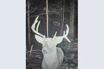 43704 County Highway 61, Hinckley, MN 55037 - Photo 41