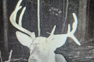 43704 Co Hwy 61, Hinckley, MN 55037 - Photo 41