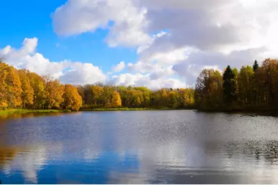 10941 37th Street N, Lake Elmo, MN 55042 - Photo 47