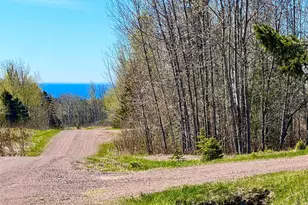 67 Snowshoe Trail, Tofte Township, MN 55615 - Photo 23