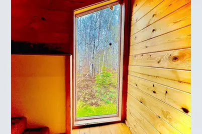 67 Snowshoe Trail, Tofte Township, MN 55615 - Photo 29