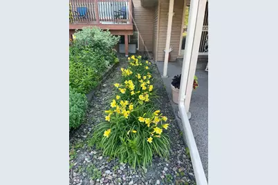 1487 Meadow Lane, Maple Plain, MN 55359 - Photo 39