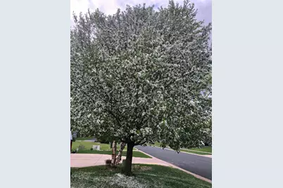 6624 145th Circle N, Hugo, MN 55038 - Photo 41