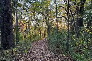 338 Westwood S St, Welch Township, MN 55089 - Photo 55