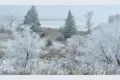 Tbd Moore Street, Starbuck, MN 56381 - Photo 3