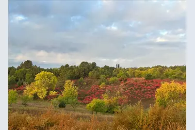 Tbd Moore Street, Starbuck, MN 56381 - Photo 7