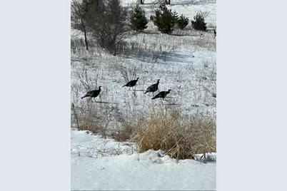 Tbd Moore Street, Starbuck, MN 56381 - Photo 5