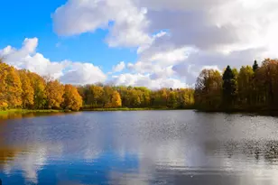 10969 37th St N, Lake Elmo, MN 55042 - Photo 65