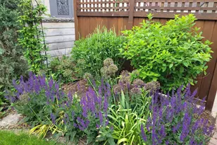 2215 St Anthony Pkwy, Minneapolis, MN 55418 - Photo 63