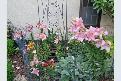 2215 Saint Anthony Parkway, Minneapolis, MN 55418 - Photo 65