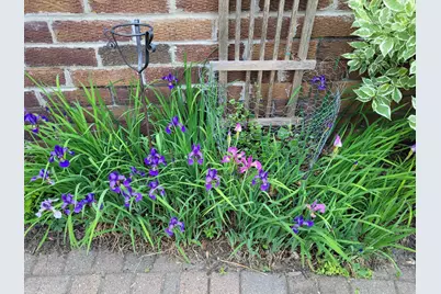 2215 Saint Anthony Parkway, Minneapolis, MN 55418 - Photo 77