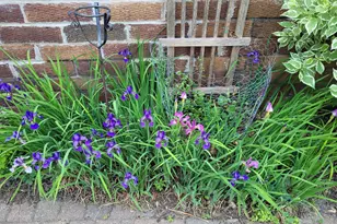 2215 St Anthony Pkwy, Minneapolis, MN 55418 - Photo 77