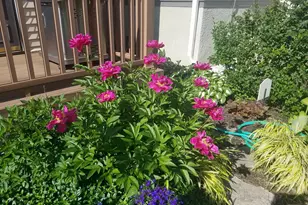 2215 St Anthony Pkwy, Minneapolis, MN 55418 - Photo 59