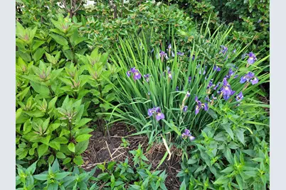 2215 Saint Anthony Parkway, Minneapolis, MN 55418 - Photo 75