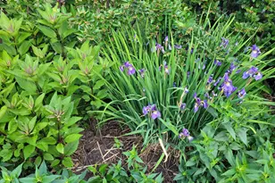 2215 St Anthony Pkwy, Minneapolis, MN 55418 - Photo 75