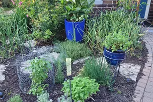 2215 St Anthony Pkwy, Minneapolis, MN 55418 - Photo 71