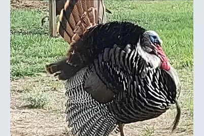 27924 Marget Lake Road NW, Isanti, MN 55040 - Photo 25