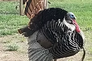 27924 Marget Lake Rd NW, Isanti, MN 55040 - Photo 25