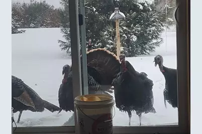 27924 Marget Lake Road NW, Isanti, MN 55040 - Photo 29