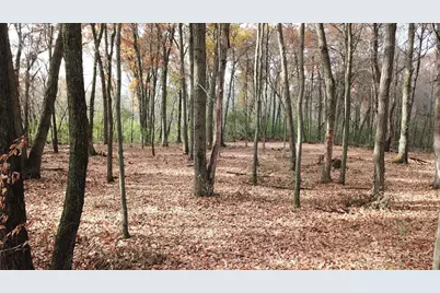 Tbdx 165th Avenue SE, Santiago Township, MN 55319 - Photo 11