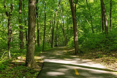 7465 Dallas Lane N, Maple Grove, MN 55311 - Photo 47