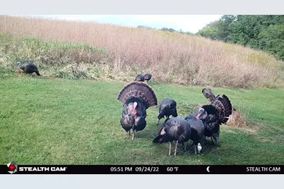 6302 20th Avenue SE, Rochester, MN 55904 - Photo 121