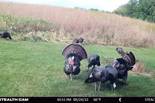 6302 20th Ave SE, Rochester, MN 55904 - Photo 121