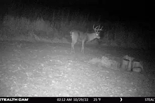 6302 20th Ave SE, Rochester, MN 55904 - Photo 123