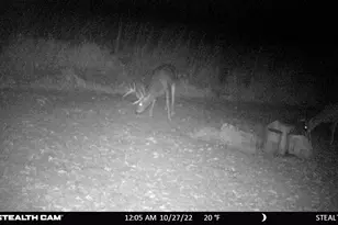 6302 20th Ave SE, Rochester, MN 55904 - Photo 125