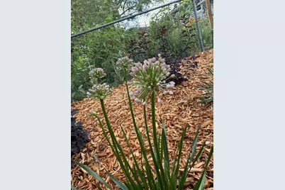 3920 White Bear Avenue N, White Bear Lake, MN 55110 - Photo 23