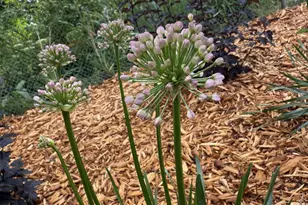 3920 White Bear Ave N, White Bear Lake, MN 55110 - Photo 23