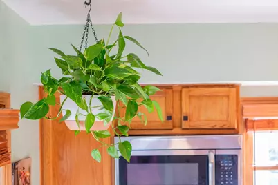 900 Hoyt Avenue W, Saint Paul, MN 55117 - Photo 31