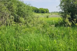 17168 263rd Ave, Paynesville, MN 56362 - Photo 41