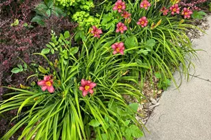 512 Spruce St, Fergus Falls, MN 56537 - Photo 33