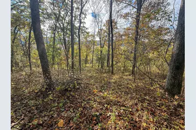 Tbd County 26, Houston, MN 55943 - Photo 39