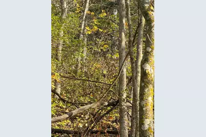 Tbd County 26, Houston, MN 55943 - Photo 33