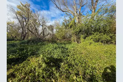 Tbd County 26, Houston, MN 55943 - Photo 31