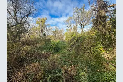 Tbd County 26, Houston, MN 55943 - Photo 25