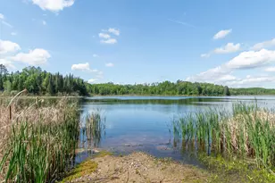 25440 O'Donnell Ln, Bigfork, MN 56628 - Photo 9