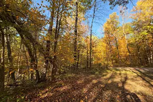24281 Hazel Wood Dr, Park Rapids, MN 56470 - Photo 75