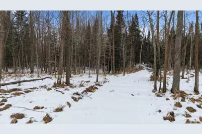 Tbd N Little Turtle Lake Rd, Marcell, MN 56657 - Photo 21