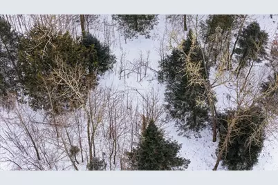 Tbd N Little Turtle Lake Rd, Marcell, MN 56657 - Photo 25