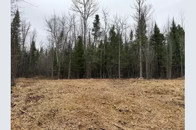 Tbd N Little Turtle Lake Rd, Marcell, MN 56657 - Photo 25